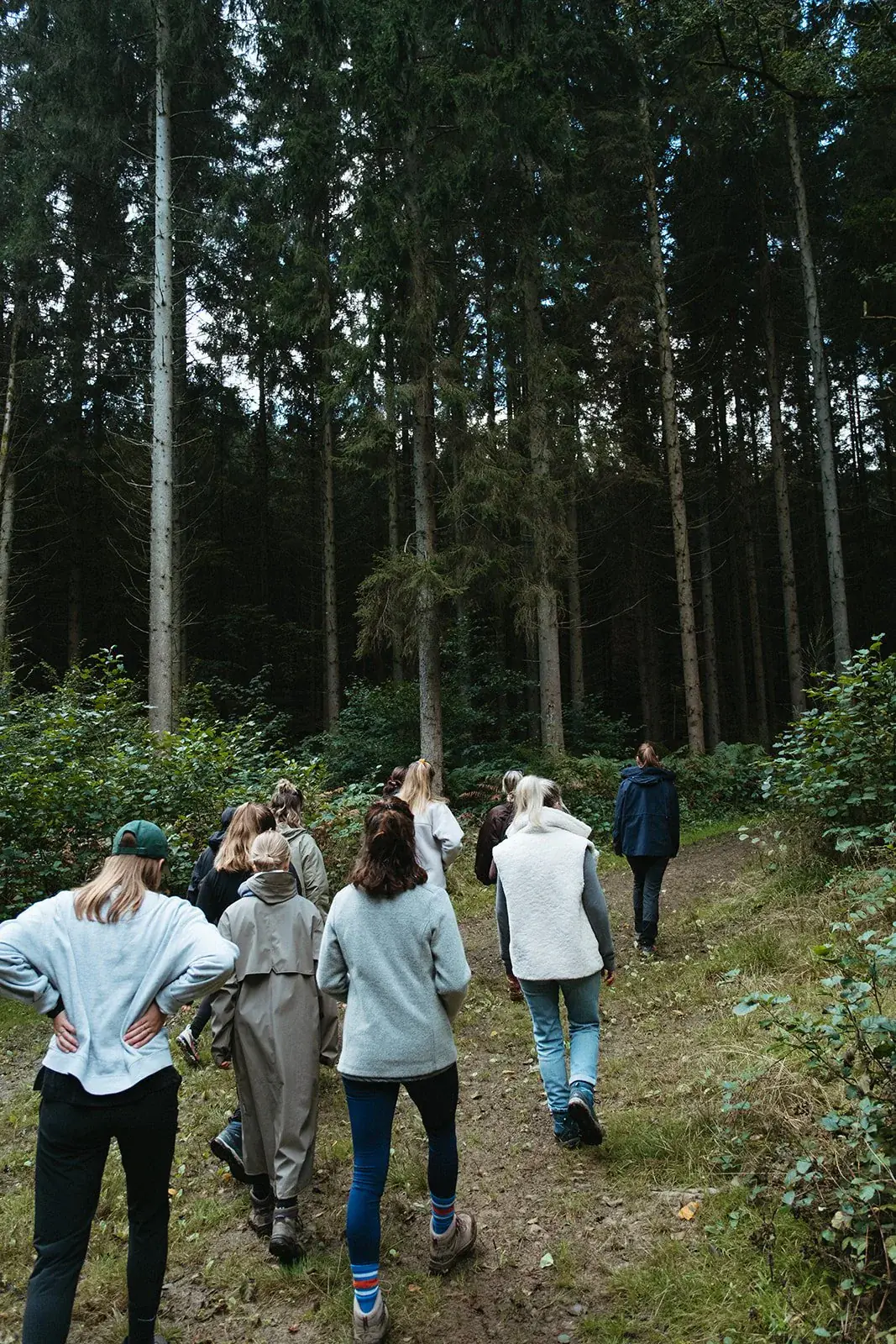 Women-Only Yoga & Hiking Weekend in the Belgian Ardennes
