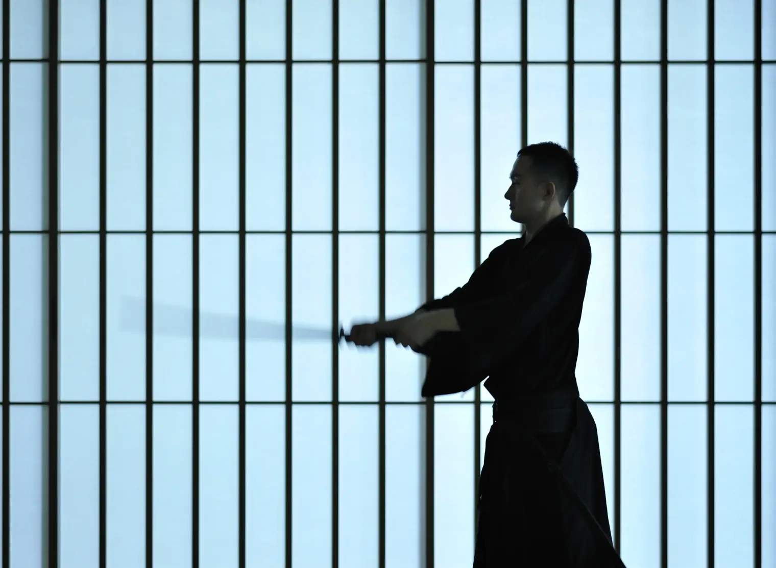 Digital Detox Kenjutsu and Hot Spring Retreat in Tokyo