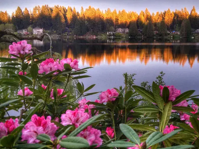 3-Day Private Lakeside Meditation Retreat in Woodinville, Washington