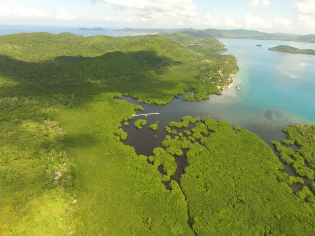 4-Day Medically Supervised Mental Wellness Retreat on a Private Island in Palawan