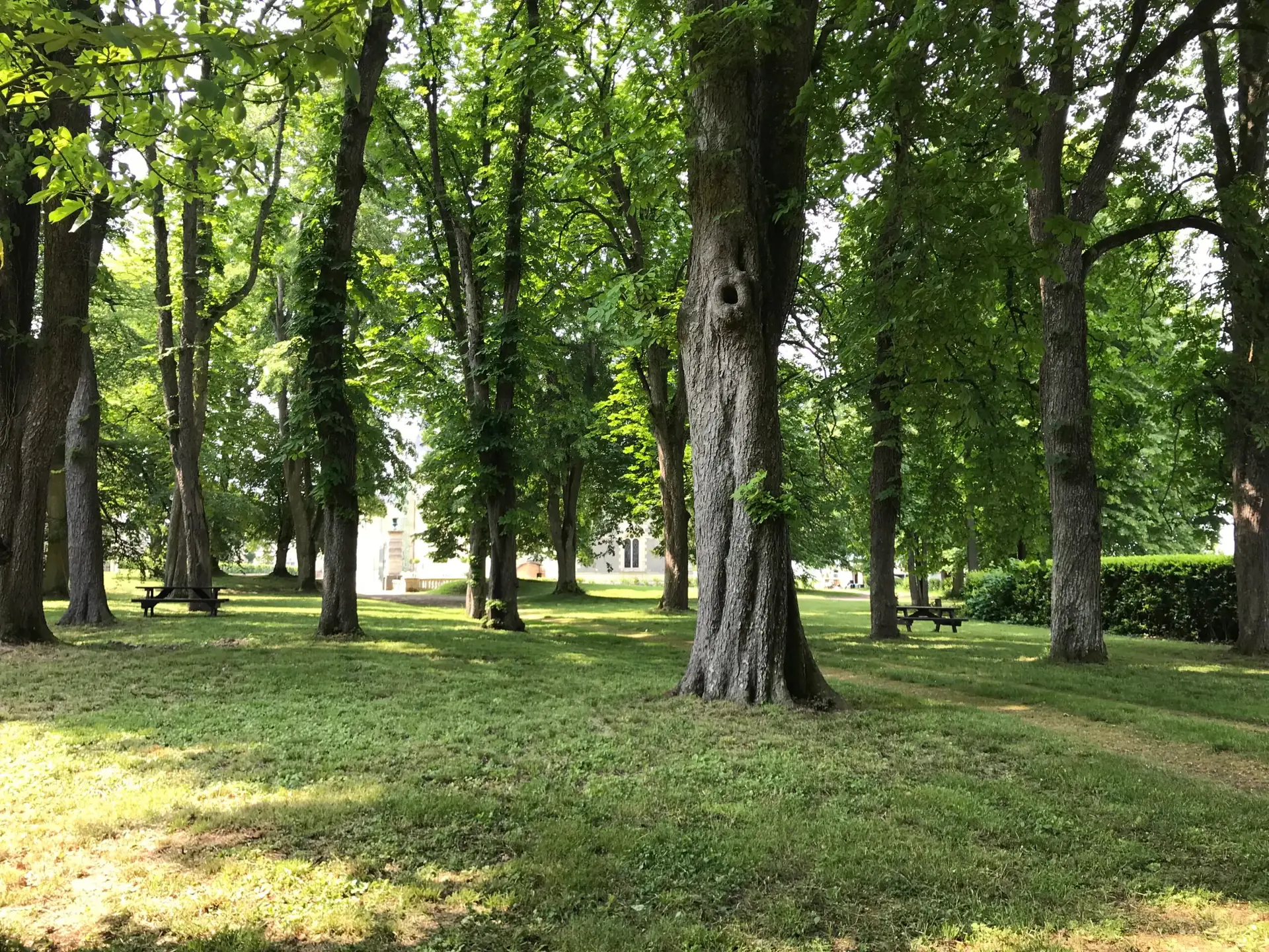 Second-Half Fitness & Wellness Retreat at a Loire Valley Château
