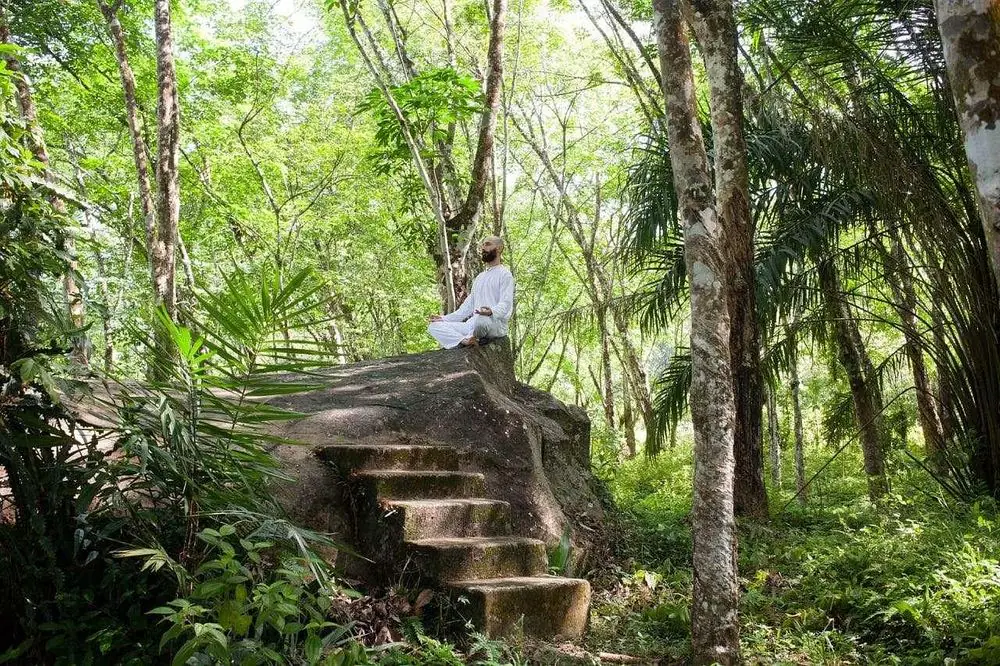 10-Day Ayurveda & Yoga Wellness Retreat in Nature, Sri Lanka