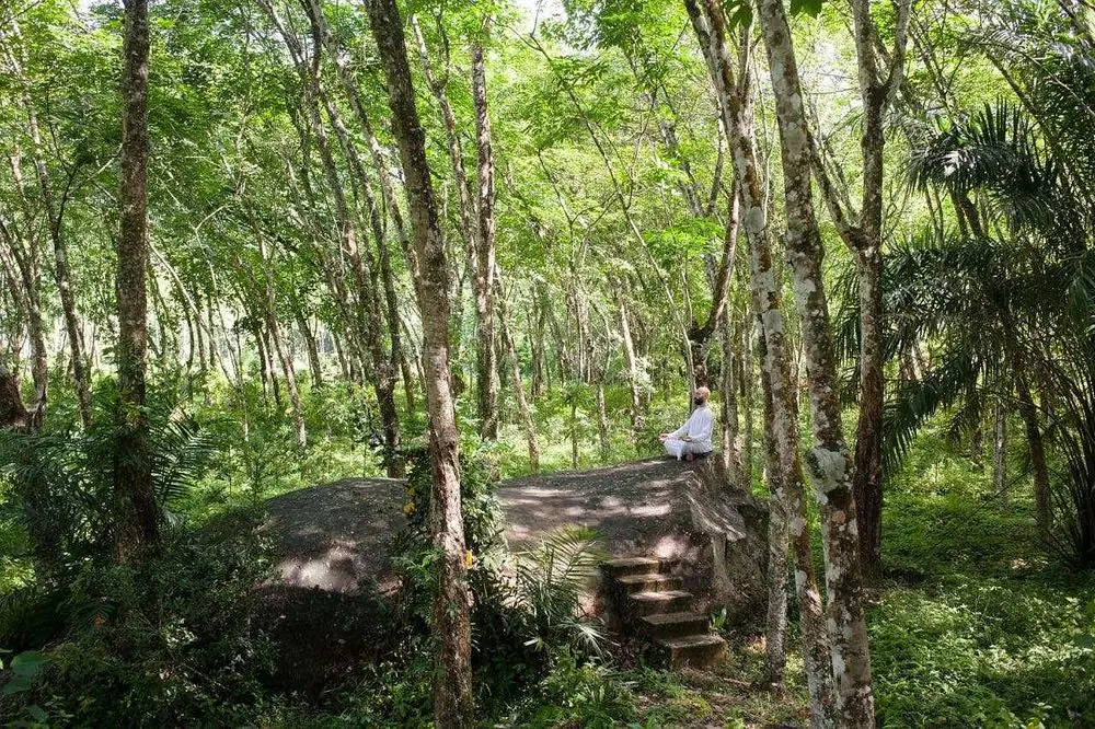 Ayurvedic Wellness & Cookery Retreat in Sri Lanka's Plantation Countryside