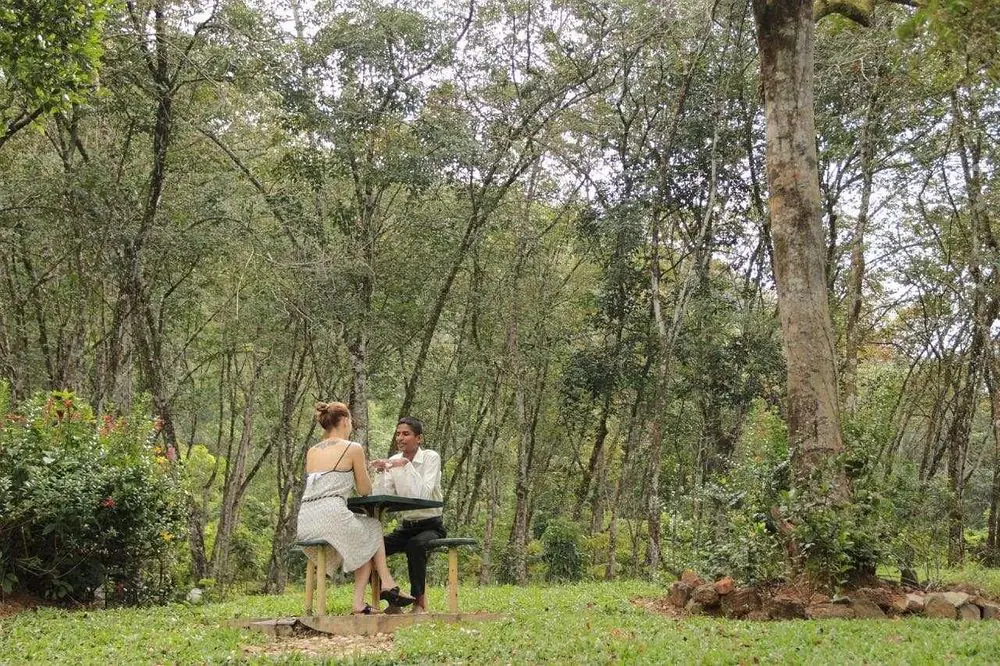 Wellness Escape: Ayurvedic Yoga & Meditation Retreat in Rural Sri Lanka