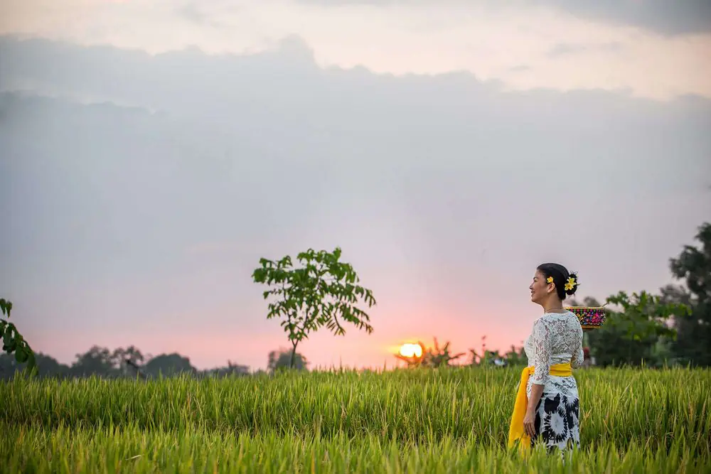14-Day Eco-Luxury Nature and Adventure Escape in Bali, Indonesia