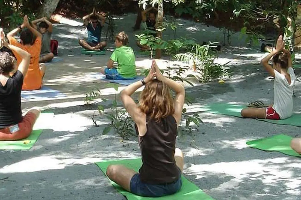 Forest Yoga & Ayurveda Wellness Escape in Sri Lanka