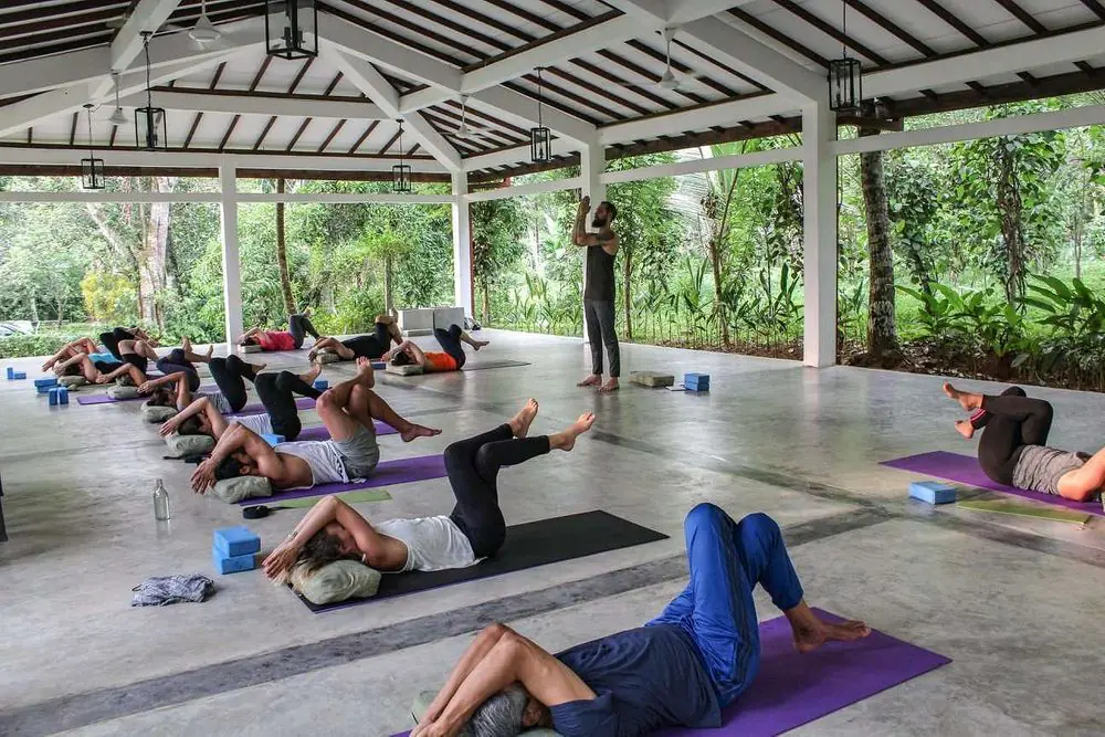 Ayurvedic Wellness Escape: 5 Day Detox & Recharge in Sri Lanka