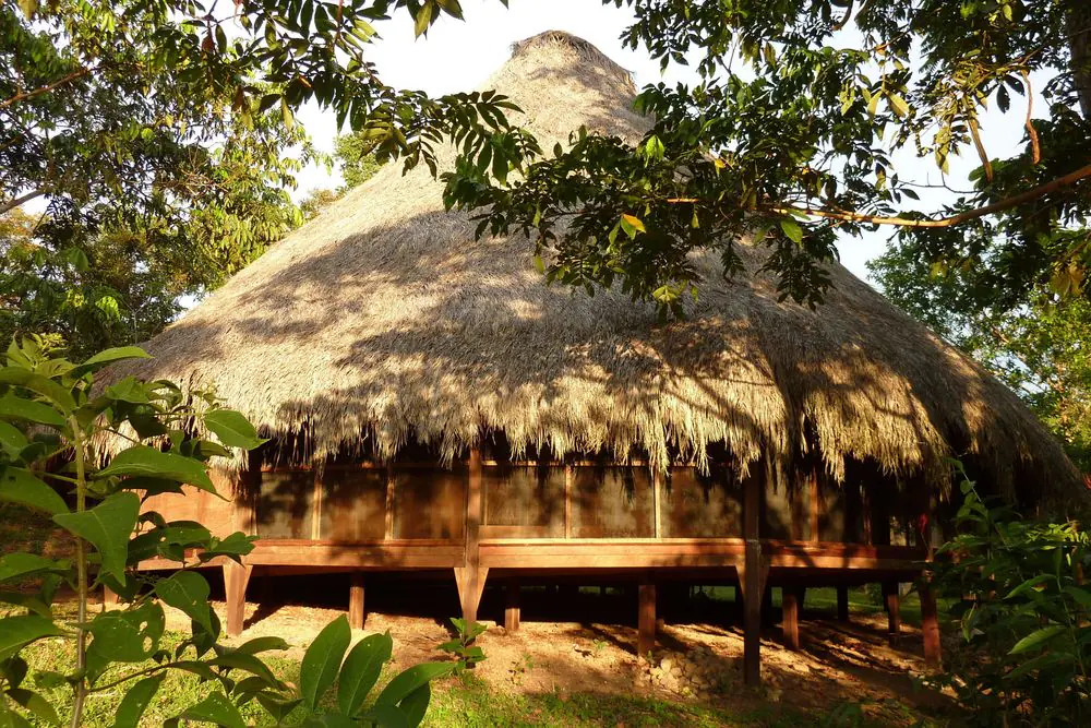 9-Day Amazon Detox and Wellness Retreat in Peru