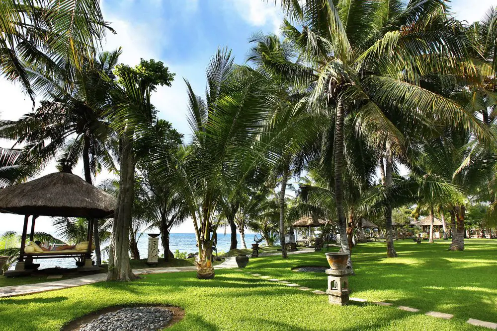6 Day Cultural Wellness Escape in Lovina Beach, Bali