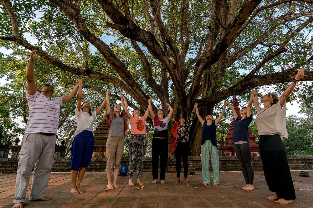 15-Day Yoga and Meditation Wellness Retreat on the Mekong River in Cambodia
