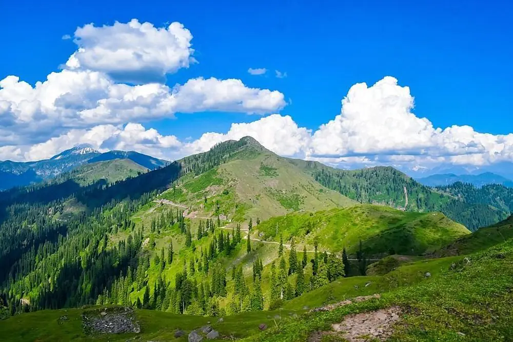 Wellness and Yoga Retreat in the Himalayan Valley of Flowers, India