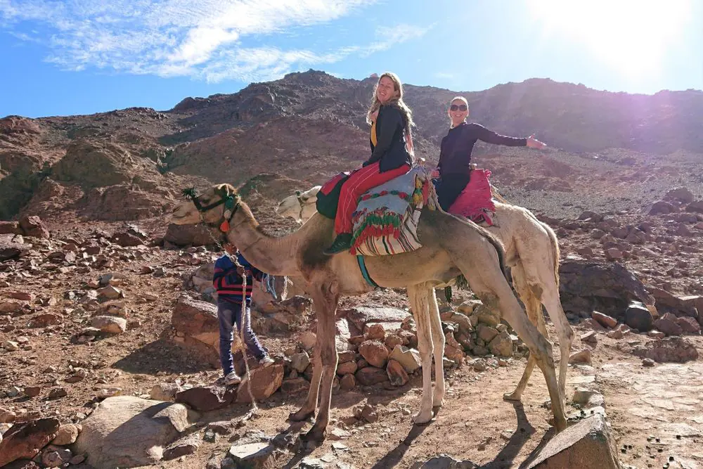 Beachfront Yoga & Wellness Escape in South Sinai
