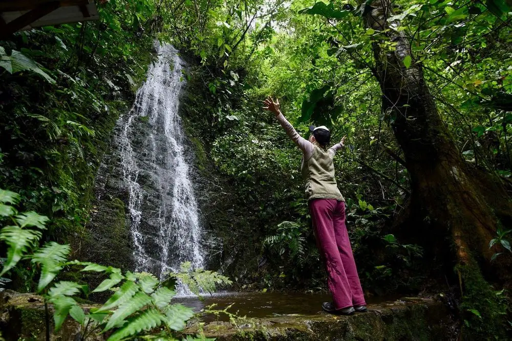 8 Day Personalized Yoga and Detox Retreat in the Cloud Forest of Ecuador