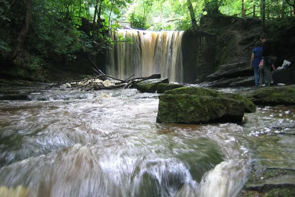 Women's Wellness and Healing Sanctuary Retreat in Wales