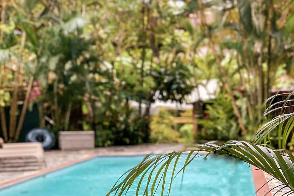 6-Day Wellness Escape: Yoga and Surfing on Costa Rica's Pacific Coast