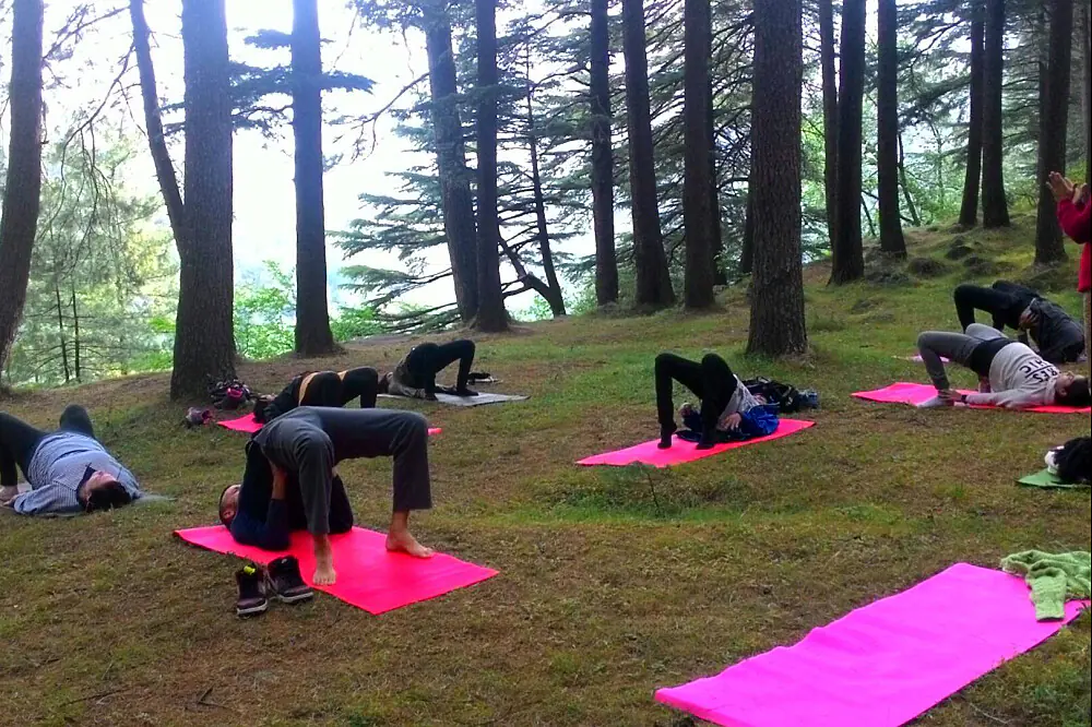 6 Day Mind & Body Detox: Yoga & Meditation Retreat in India