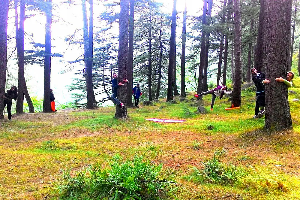 10 Day Transformative Yogic Journey in Dharamshala, India