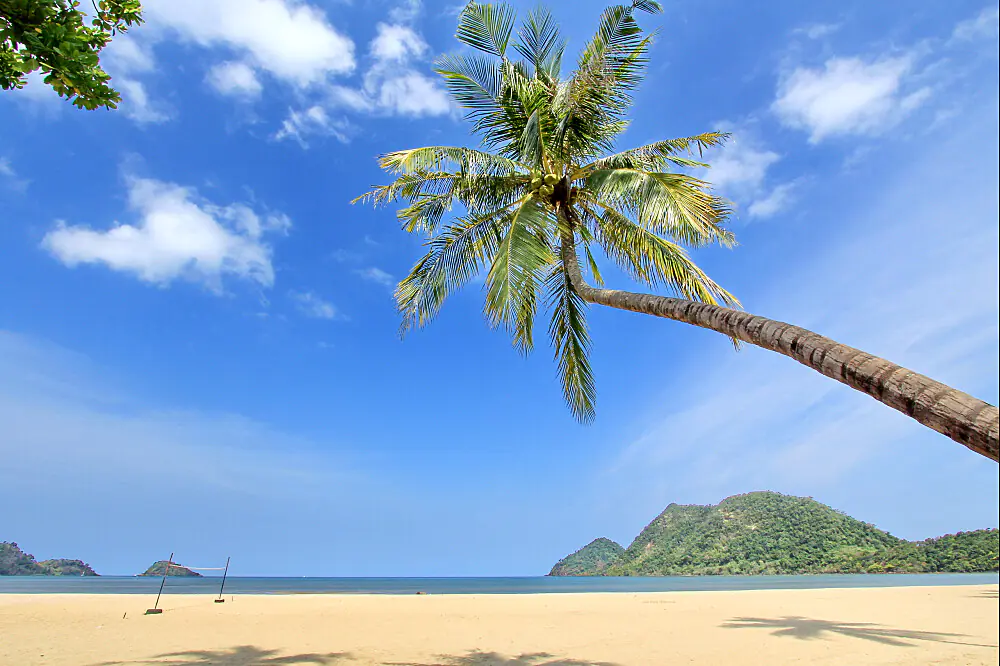 Tropical Beachfront Weight Loss & Detox Wellness Escape in Thailand