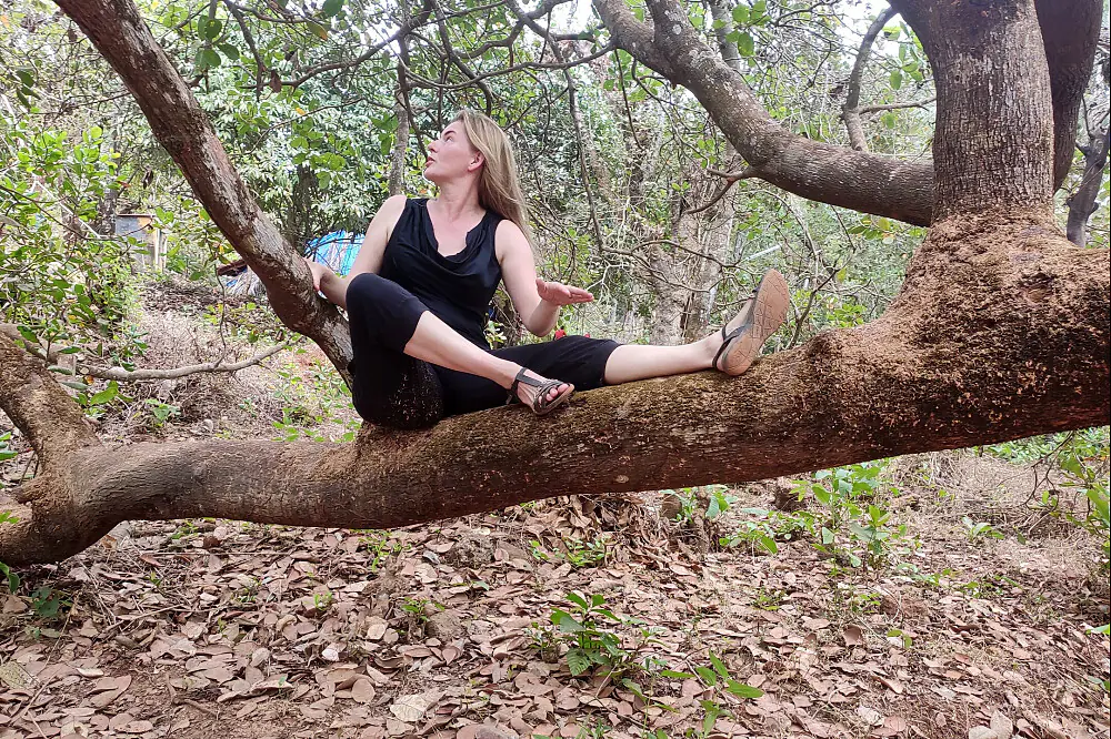 4-Day Ashtanga & Beach Wellness Retreat in Agonda, Goa