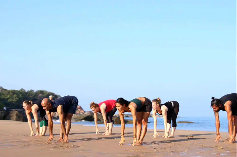 55-Day Ashtanga Yoga Teacher Training in Goa, India