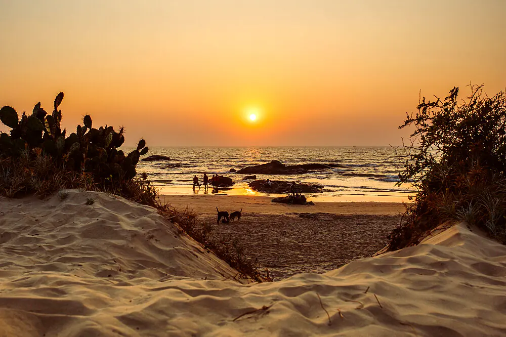 Ayurvedic Panchakarma Detox Retreat in Goa: Basti & Virechana Cleansing