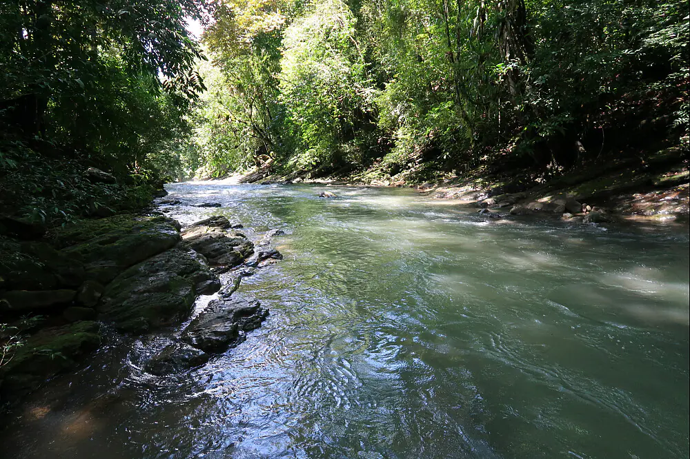 Rainforest Wellness Escape with Daily Yoga, Thai Massage & Waterfall Swimming in Costa Rica