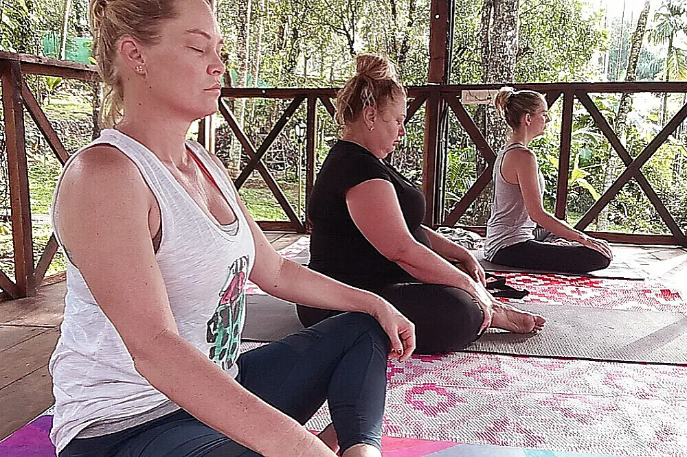 Senior Wellness Escape with Daily Yoga and Ayurveda in Kerala