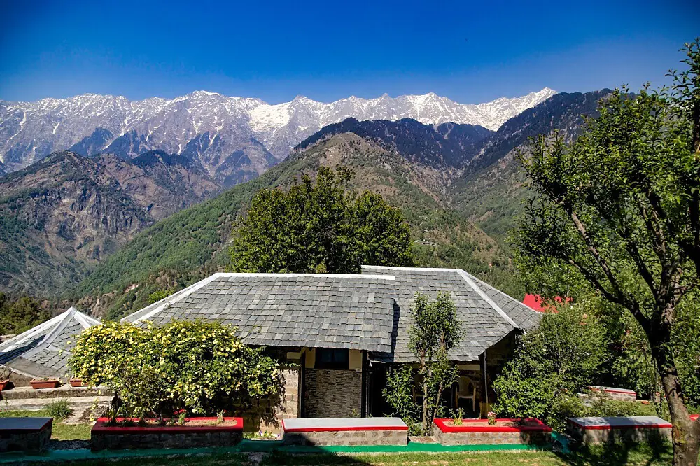 15-Day Himalayan Wellness and Yoga Retreat in Dharamshala