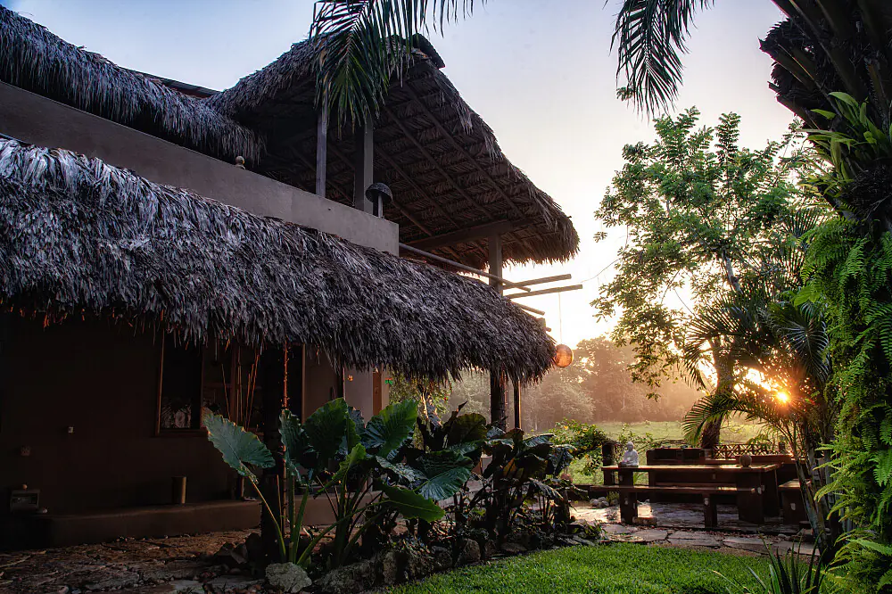 8-Day Jungle Wellness and Fitness Reset in Palenque, Mexico
