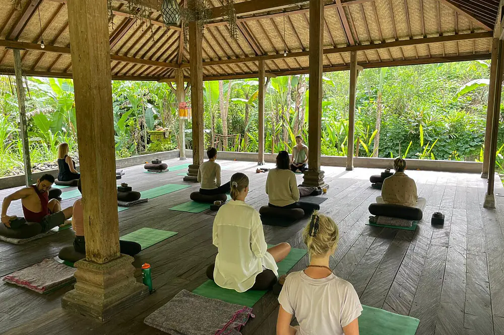 Silent Zen Meditation & Mindful Wellness Escape in Bali's Tropical Mountains