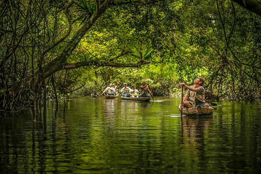 Amazon Jungle Yoga & Meditation Retreat in Peru