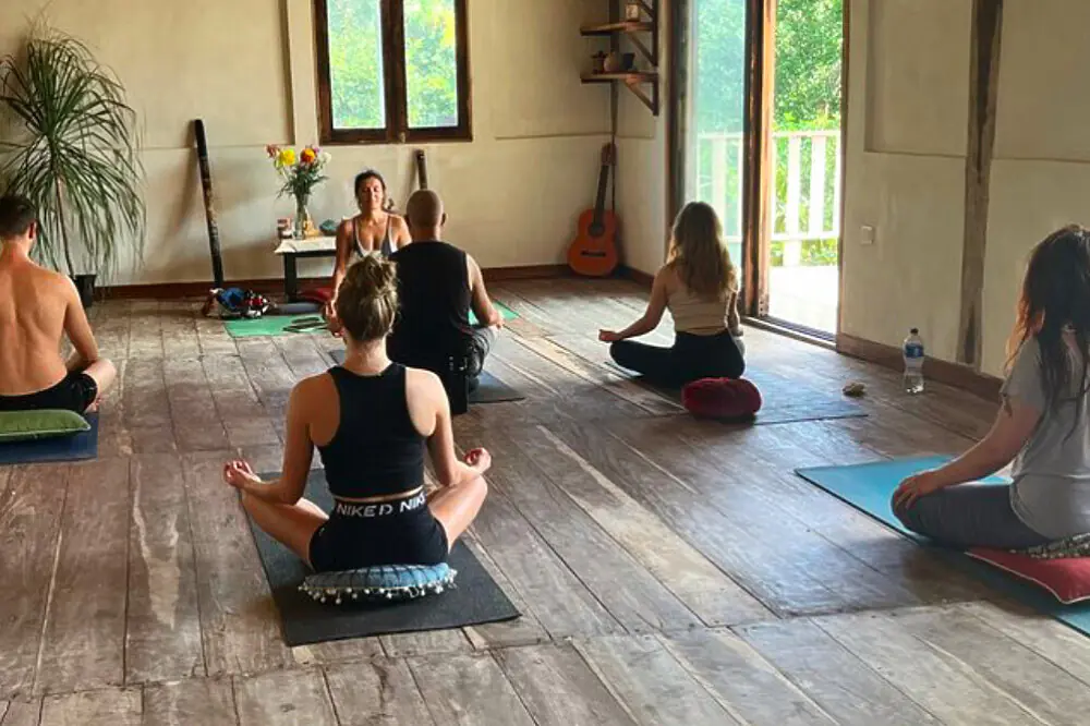 200-Hour Vinyasa Yoga Teacher Training & Wellness Escape in Tulum