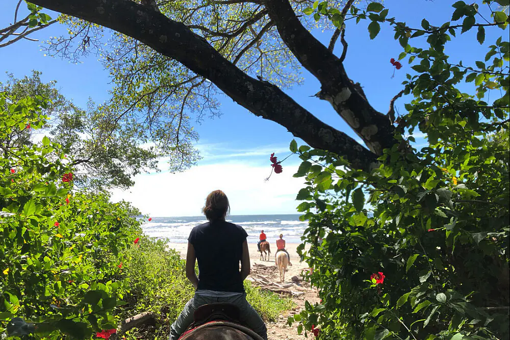 Wild Wellness: Horse and Yoga Retreat on the Pacific Coast