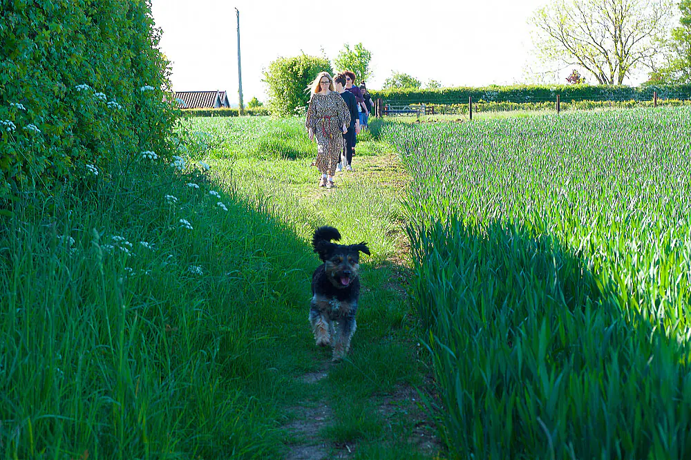 Wellness Escape: Habits & Energy Boost, Suffolk