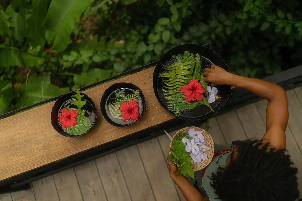 Ayurvedic Panchakarma Detox & Wellness Retreat in Vieques, Puerto Rico