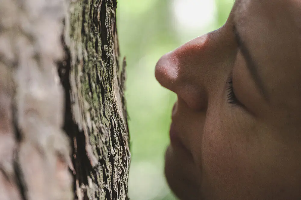 Women's Wellness and Mindfulness Retreat in the Italian Alps