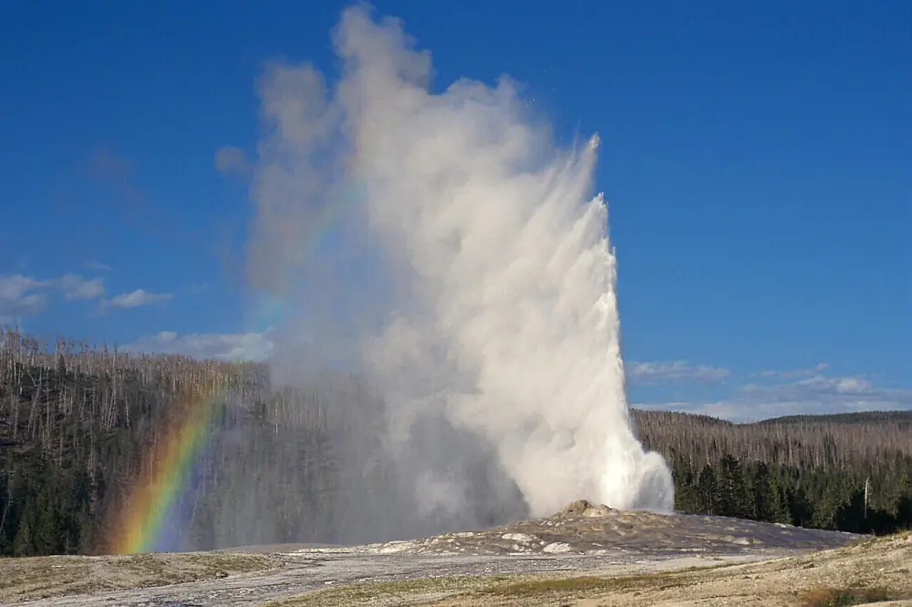 6-Day Yellowstone Wildlife Adventure Retreat in Cody, Wyoming