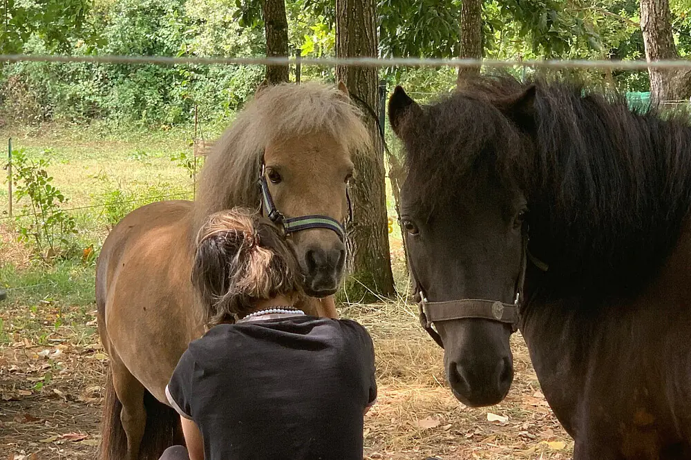 Breakup & Divorce Recovery Retreat in the French Countryside