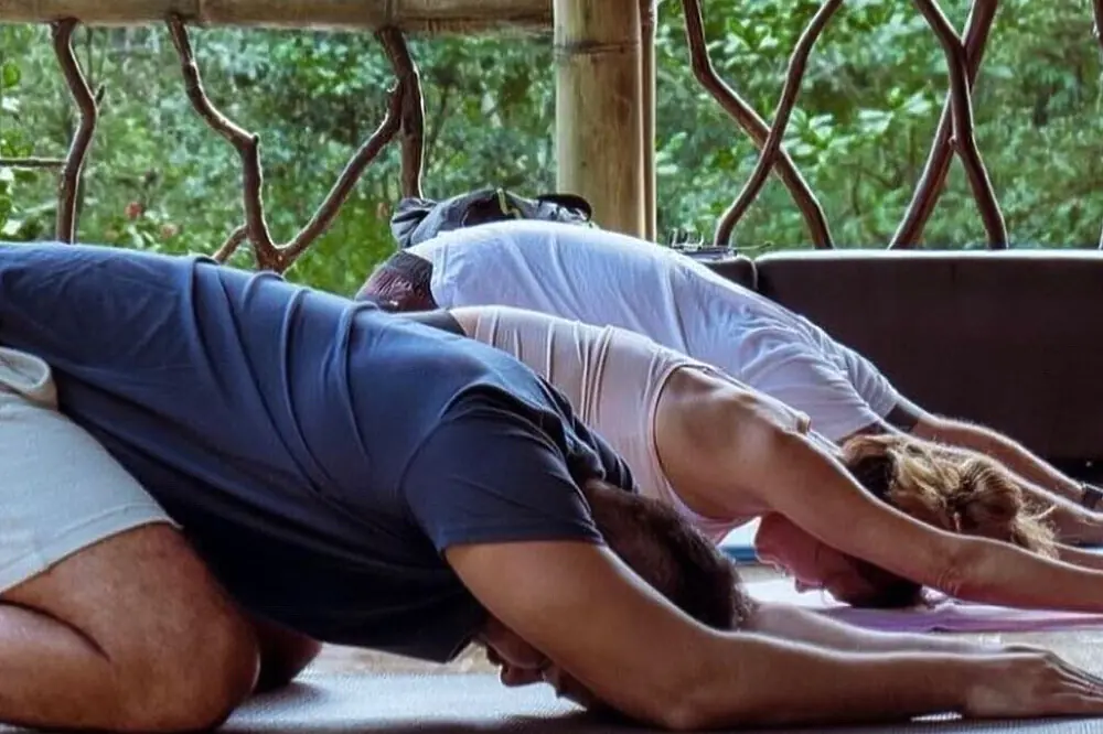 Transformational New Year Wellness Retreat in Ecuador's Cloud Forest