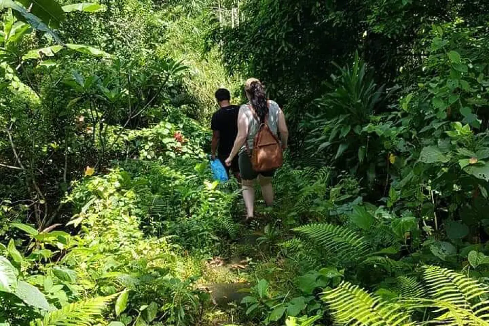 28-Day Balinese Yoga, Spa & Culinary Wellness Immersion