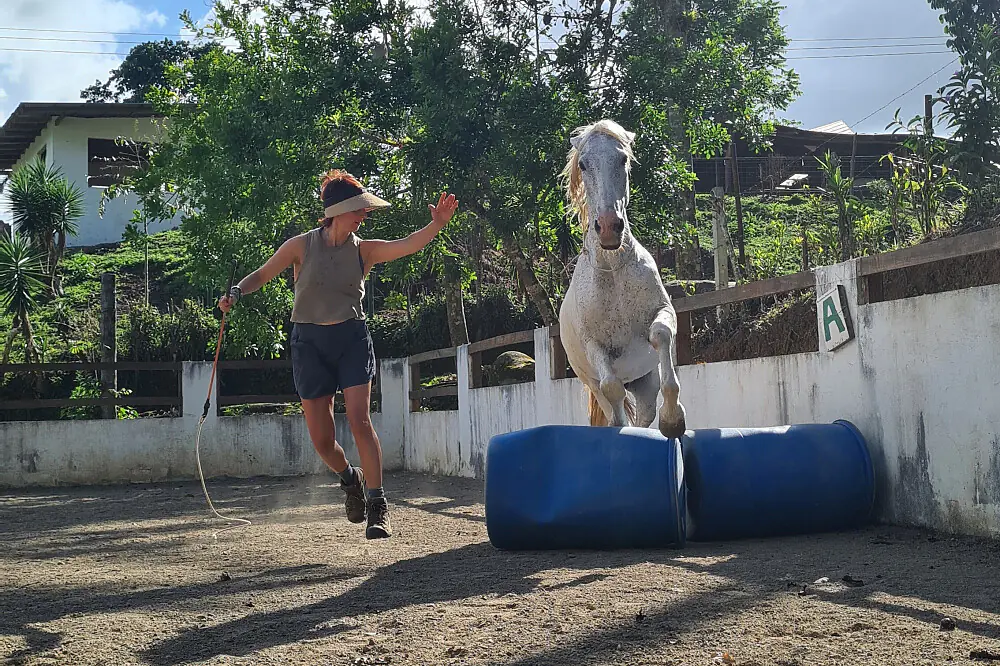 Wellness Retreat: Yoga, Horse Connection & Nature in Costa Rica