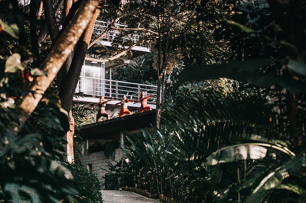 Wellness Escape in Mexico: Yoga, Ceremony, and Jungle Villa Living