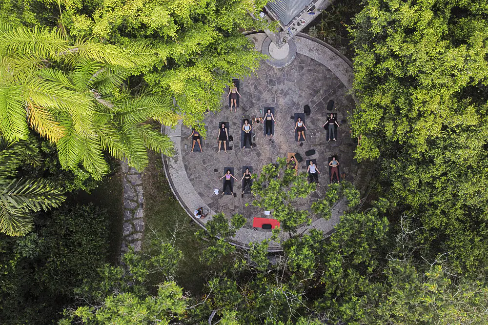Amazon Jungle 200-Hour Vinyasa & Yin Yoga Teacher Training in Peru