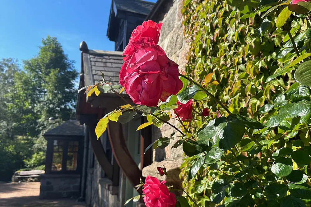 Private Healing Hypnosis & Energy Transformation Retreat in Scotland