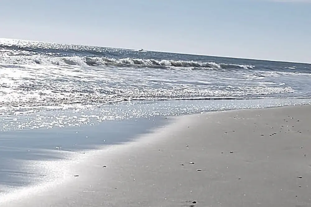 Thanksgiving Wellness Escape: Yoga, Healing & Beach Walks in South Carolina