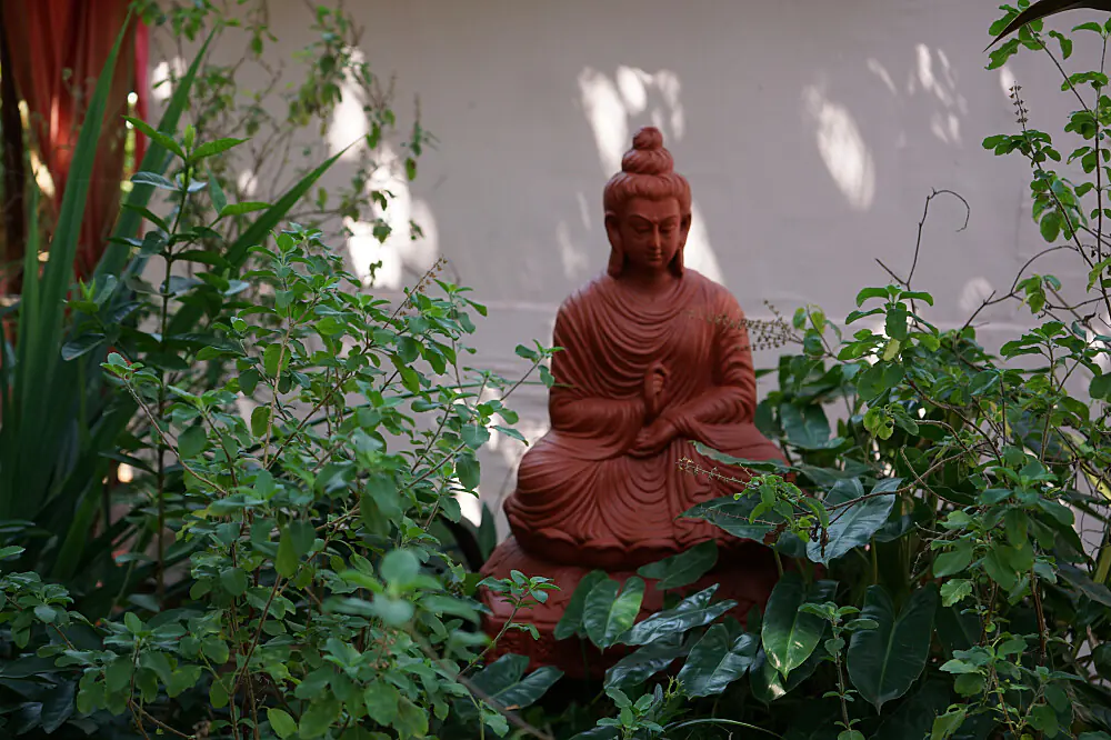 7 Day Beachfront Yoga and Wellness Retreat in Goa, India