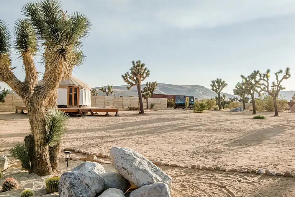 200-Hour Desert Yoga Teacher Training in Joshua Tree's High Desert