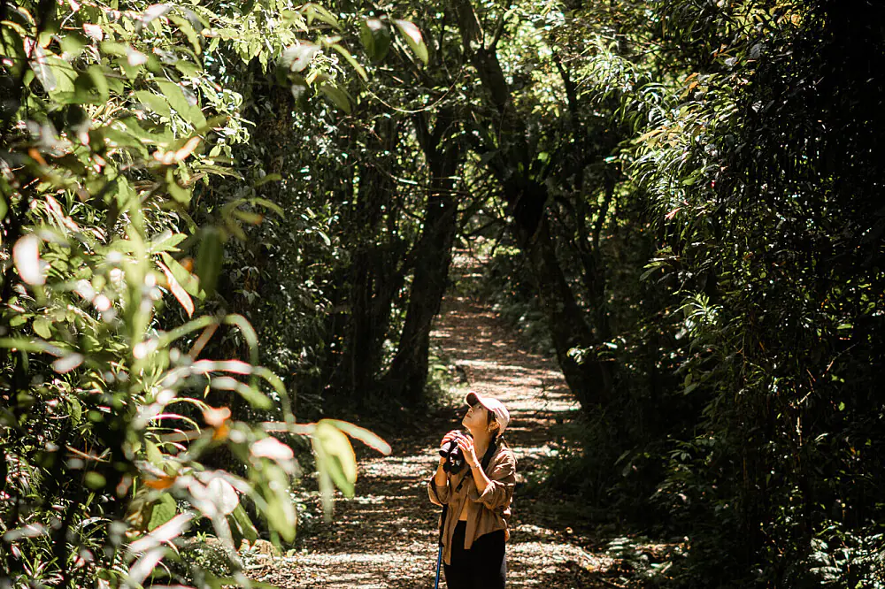 7-Day Balinese Jungle Wellness Escape with Daily Yoga and Hiking in Bali
