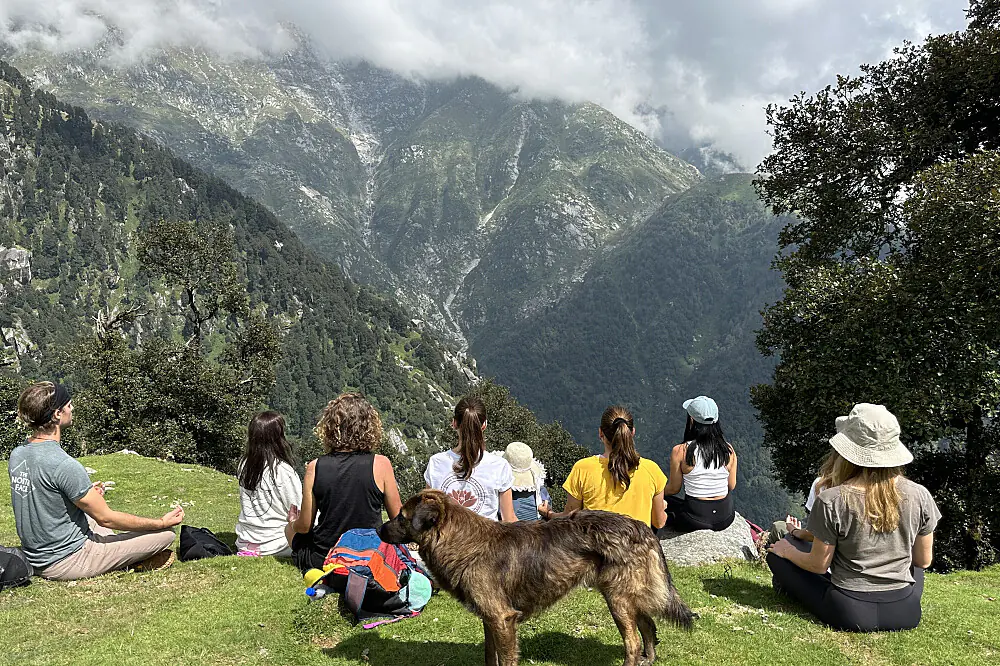 Himalayan Yoga & Meditation Wellness Escape in Dharamshala