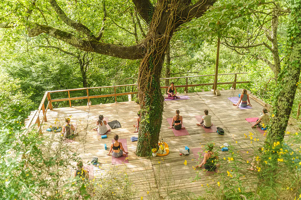 6-Day Yoga and Thai Massage Workshop on an Organic Farm in Italy